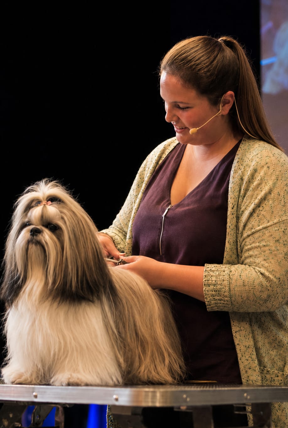 Frisch gepflegter Hund im Hundesalon Fellharmonie in Kranzberg